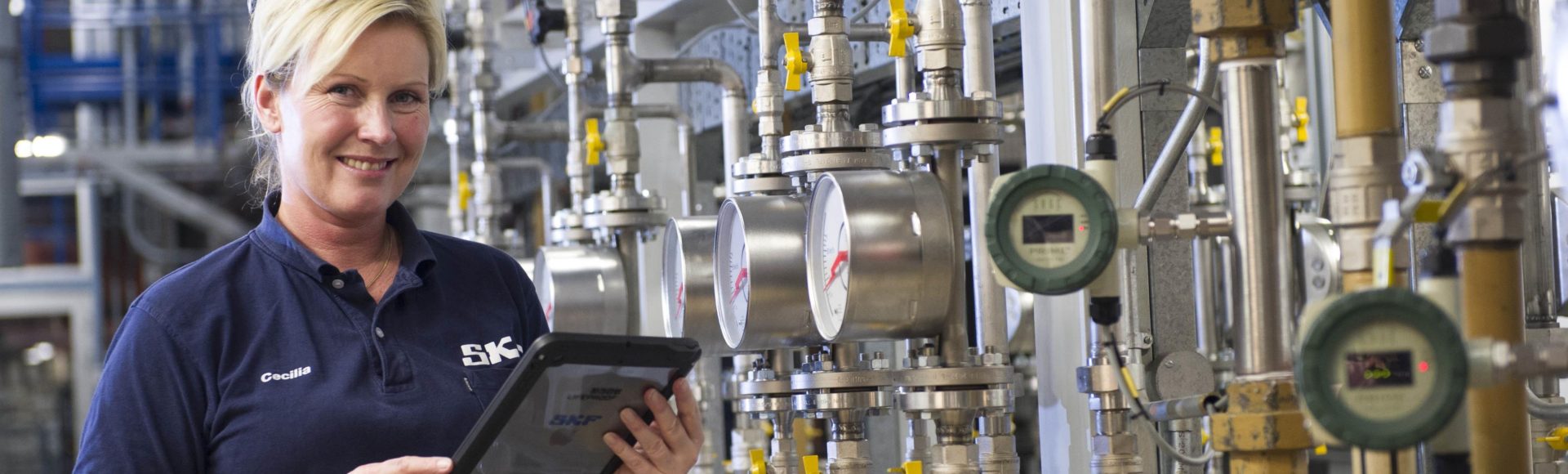 Indiana Bearings Pvt Ltd Industrial Bearing Supplier